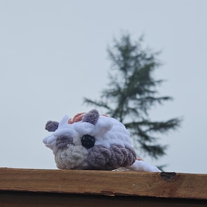Sara heeft een foto van de aankoop toegevoegd