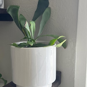 atan added a photo of their purchase