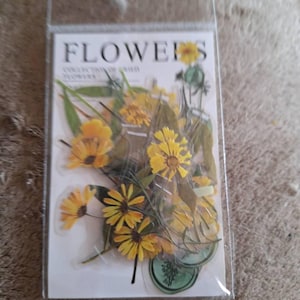 Karen さんが購入した商品の写真を追加しました