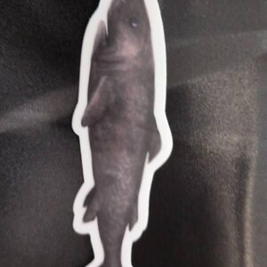 CJ hat ein Foto des gekauften Artikels hinzugefügt