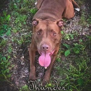 F added a photo of their purchase