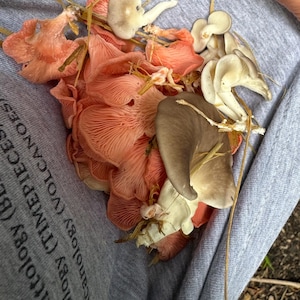 Gina added a photo of their purchase