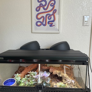 Vincent added a photo of their purchase