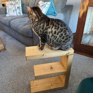 Lesley added a photo of their purchase