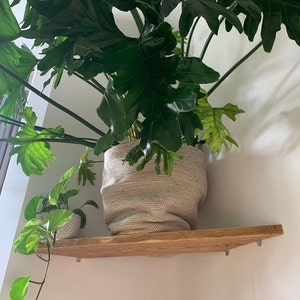 Barbara added a photo of their purchase