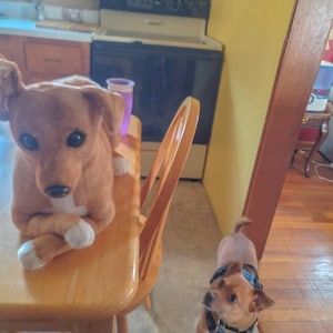 Brettlyn added a photo of their purchase