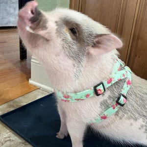 Lori added a photo of their purchase