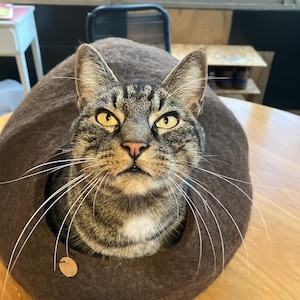 Lily added a photo of their purchase