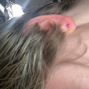 Brandy heeft een foto van zijn/haar aankoop toegevoegd