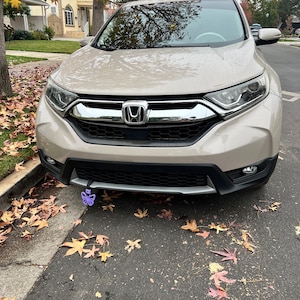 Seherzada added a photo of their purchase