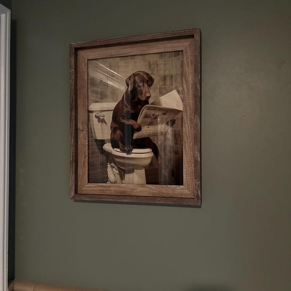 Labrador Retriever, Reading Newspaper, Toilet, Dogs, Chocolate, Lab ...