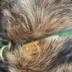 Ann added a photo of their purchase