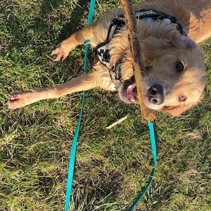 Vicky heeft een foto van de aankoop toegevoegd