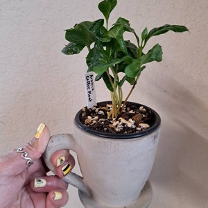 Naty added a photo of their purchase