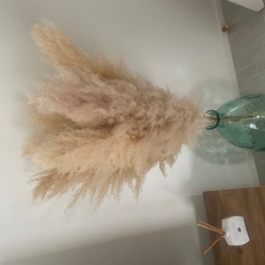 Hiram added a photo of their purchase