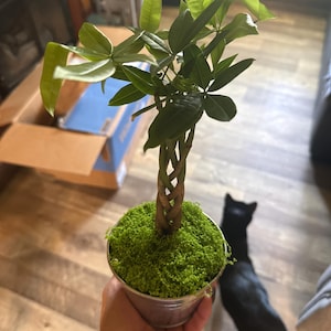 Jillian added a photo of their purchase