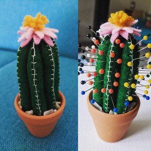 Jo added a photo of their purchase