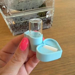 Lucia a ajouté une photo de son achat