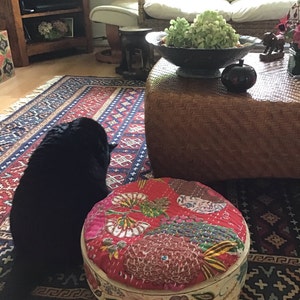 Glynis hat ein Foto des gekauften Artikels hinzugefügt