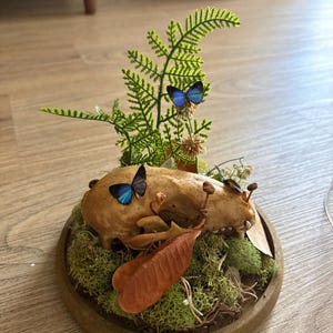 Amelia added a photo of their purchase