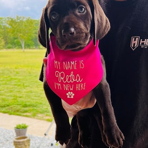Payton added a photo of their purchase