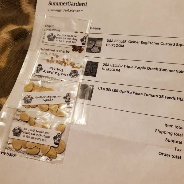 USA SELLER Gelber Englischer Custard Squash 15 Seeds HEIRLOOM ...