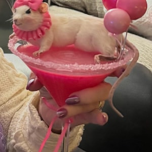 Tammy added a photo of their purchase