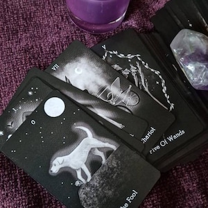 Dorabelle added a photo of their purchase