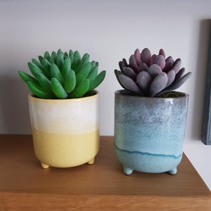 Julie added a photo of their purchase