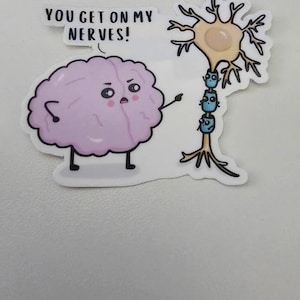 OB/GYN Pun Stickers Pediatrician, Gynecologist, Obstetrician Water ...