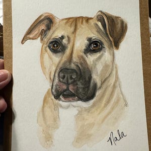 Rachel added a photo of their purchase