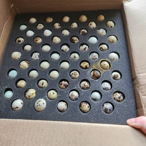 Bloo さんが購入した商品の写真を追加しました