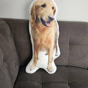 Tina a ajouté une photo de son achat