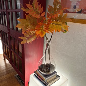 Sabine added a photo of their purchase