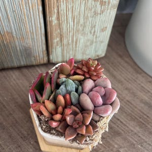 Tate added a photo of their purchase