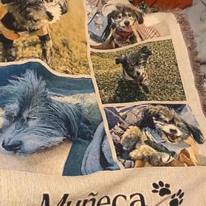 Daisy added a photo of their purchase
