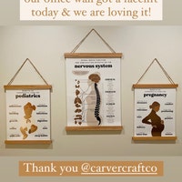 Chiropractic ANS Chart + Nervous System Poster | Subluxation Effects ...
