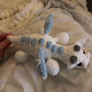 Raine added a photo of their purchase