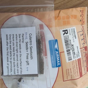 Semillas de culantro , chadon beni , diente de sierra de culantro, semillas de hierbas caribeñas cilantro de diente de sierra, cilantro serrado, recao , chadron