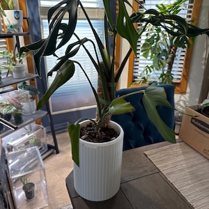 Christina added a photo of their purchase