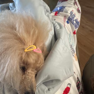 Sally ha añadido una foto de su compra