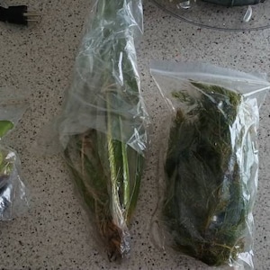 Manny added a photo of their purchase