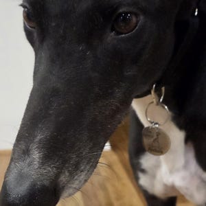 N added a photo of their purchase