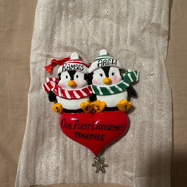 We're Expecting Couple, Baby Bump Couple Proud New Parents Ornament, We