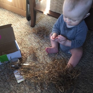 KSwenson added a photo of their purchase
