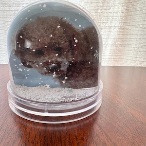 Tammy added a photo of their purchase