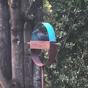 Jess Bronk added a photo of their purchase