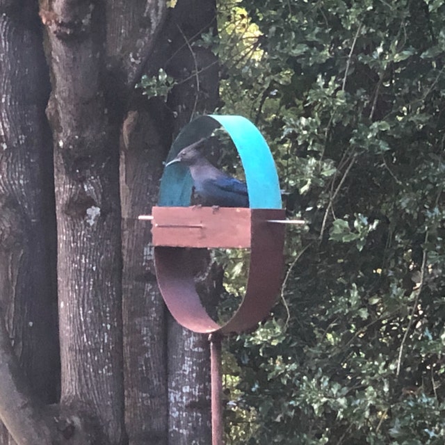 Jess Bronk added a photo of their purchase