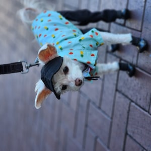 SMALL DOG - Doggy Cargo Jacket Navy