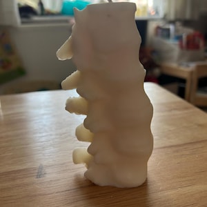 Spine Gothic Soy Candle by The Blackened Teeth | Gothic Home Decor | Handmade by Artisans